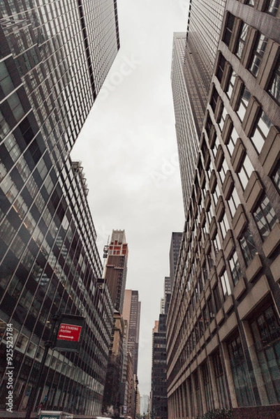 Obraz city skyscrapers