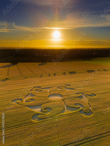 Obraz Aerial view of an intricate geometric crop circle formation in a wheat field near Etchilhampton and Devizes in Wiltshire, England, UK