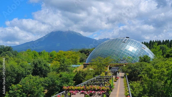 Obraz とっとり花回廊31（8月）