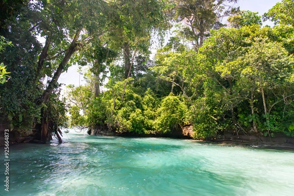 Fototapeta Stunning Tropical Island in Bocas del Toro, Panama with Crystal Clear Caribbean Waters, Lush Green Forest, and Vibrant Coastal Scenery, A Paradise for Nature Lovers and Eco-Tourism Enthusiasts