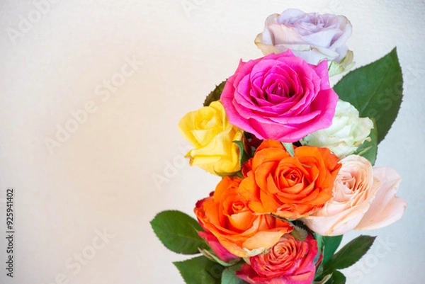 Obraz カラフルな薔薇