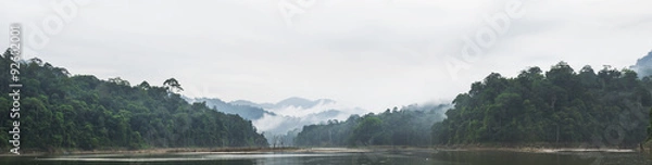Fototapeta Panorama view of morning fog and dead trees in dense tropical rainforest, Perak, Malaysia