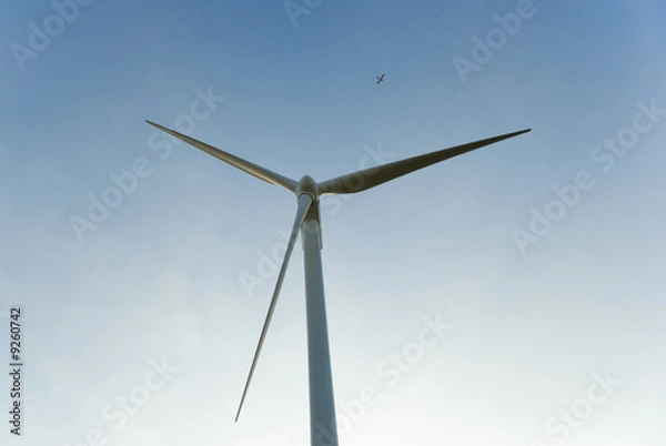 Fototapeta éolienne