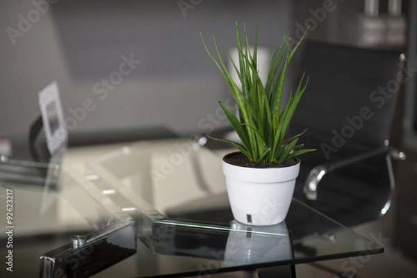 Obraz Glass table in modern office, table pot and chair