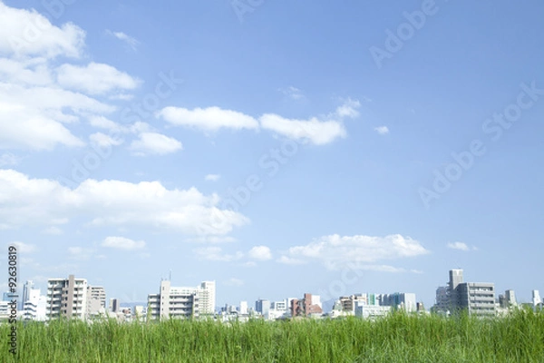 Fototapeta 草原と街並み