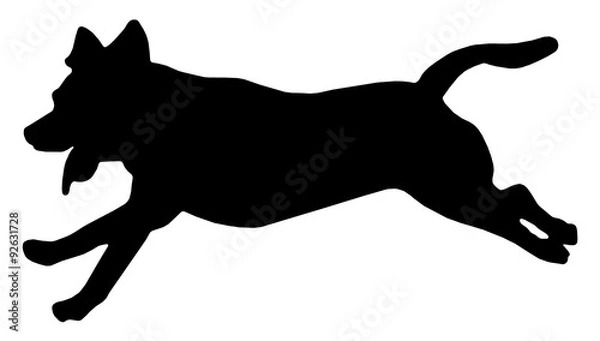 Obraz 犬