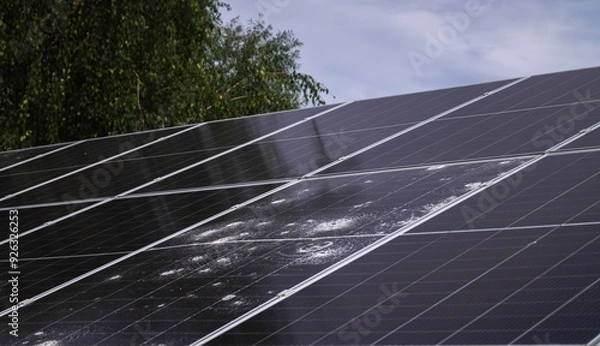 Fototapeta Solar panel array with visible hail damage, showing cracked photovoltaic cells under cloudy skies and nearby trees, highlighting the impact of severe weather on renewable energy infrastructure.