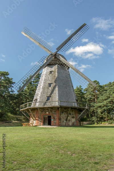 Obraz mill