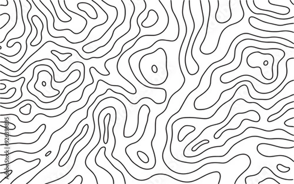 Fototapeta Abstract topographic map background with organic flowing lines vector 