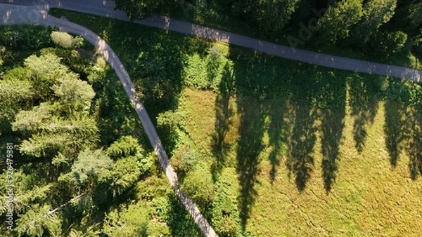 Obraz Overhead Perspective of a Dense Forest shadows 