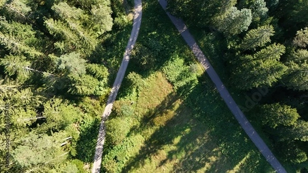 Obraz Tranquil Wilderness, Overhead Perspective of a Dense Forest