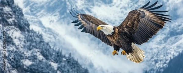 Fototapeta Regal bald eagle grasping blank banner in talons, mountain peak