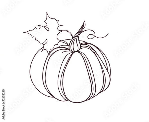 Obraz Pumpkin vegetable. drawn black pen. Artwork