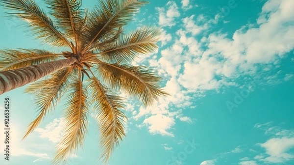 Fototapeta Palm Tree on a Tropical Beach with a Blue Sky and White Clouds.