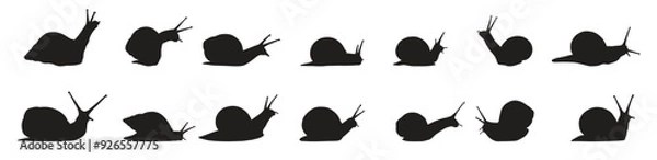 Obraz Snail silhouette set