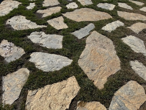 Fototapeta Stone path in green grass garden pattern. Dark stone path with green grass of a park. Green grass grows in seams. Exterior design rock pieces background.