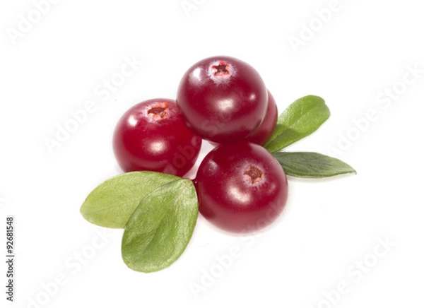 Obraz cranberry isolated