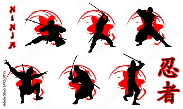Fototapeta Ninja