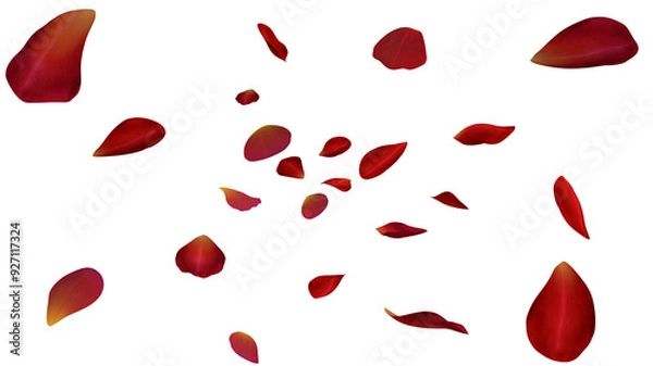 Fototapeta Red rose petals flow on transparent background, 3d render