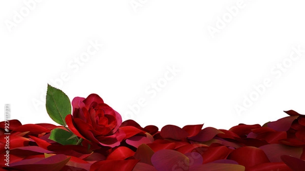 Fototapeta Red rose on pile of petals ground on transparent background, 3d render