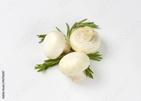 Obraz Three table mushrooms