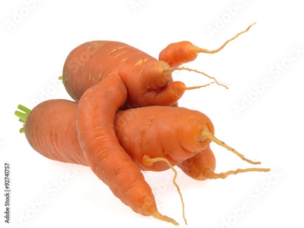 Obraz carottes bizarres