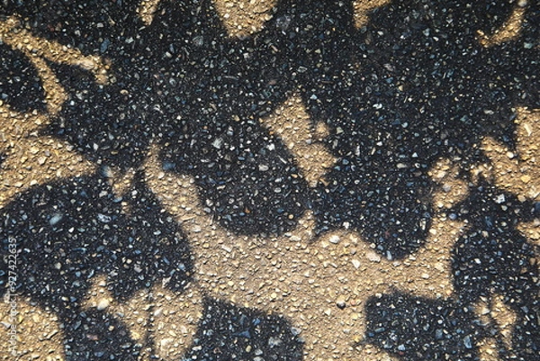 Fototapeta 道に映る草の影