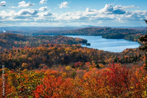 Obraz Fall foliage in Mount Orford national park