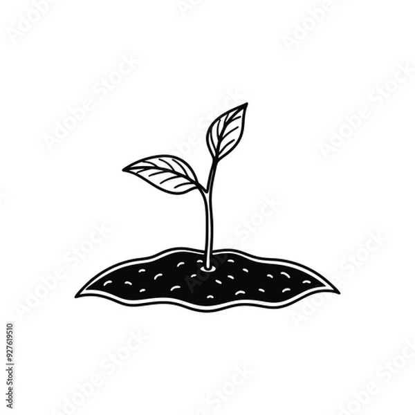 Fototapeta Plant Icon. Cultivation vector art isolated on white background
