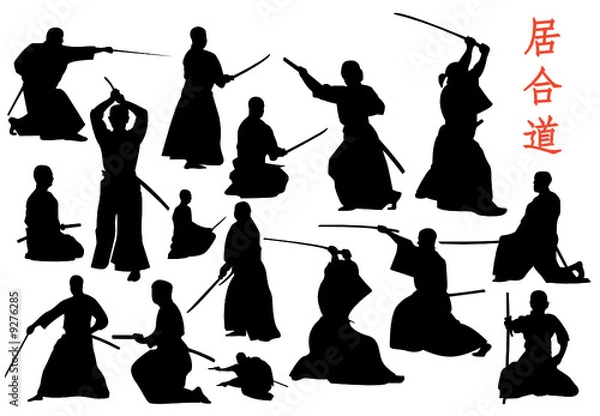 Fototapeta iaido vector set
