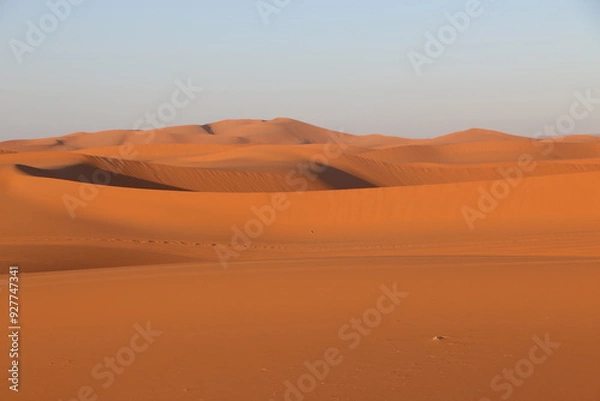 Obraz desert dunes
