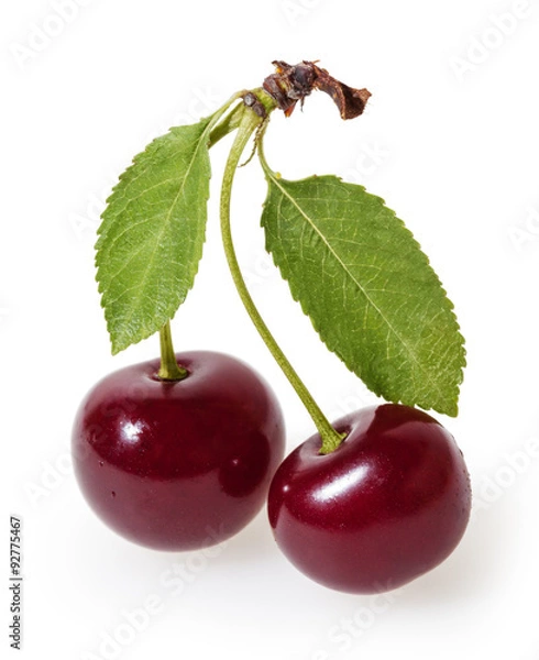 Fototapeta Cherry isolated on white background with clipping path