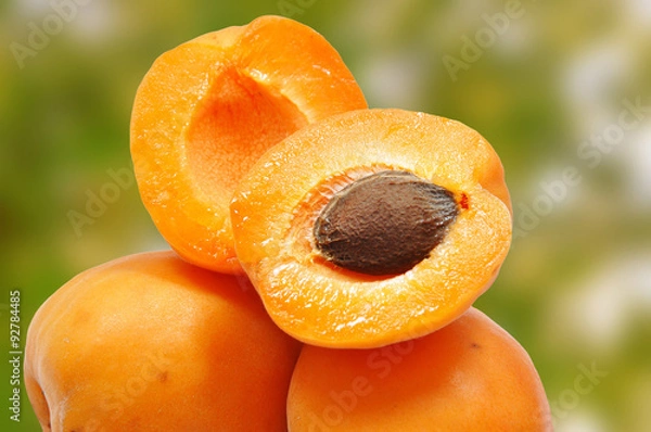 Fototapeta morele na zielonym tle