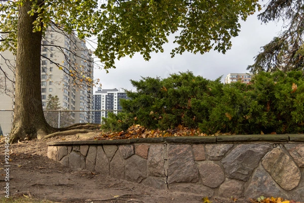 Fototapeta Autumn leaves scattered at the base of a manicured evergreen hedge, against a stone retaining wall, city skyline and trees in background. Taken in Toronto, Canada.