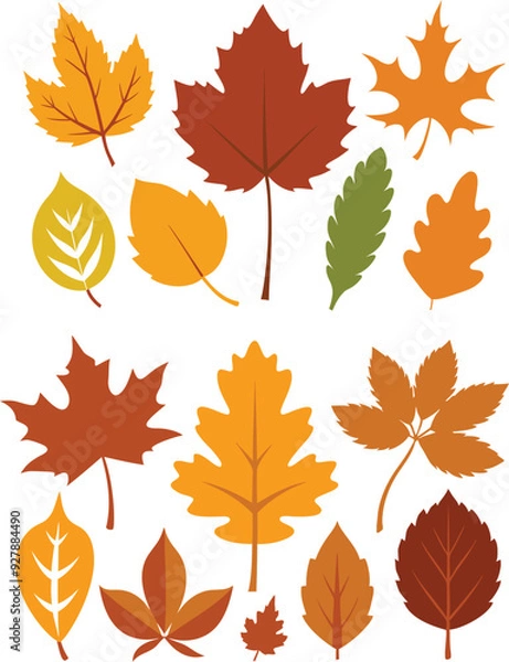Fototapeta silhouette leaves set autumn on white background isolated, vector 