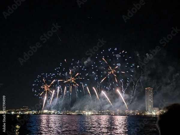 Fototapeta fireworks over the river