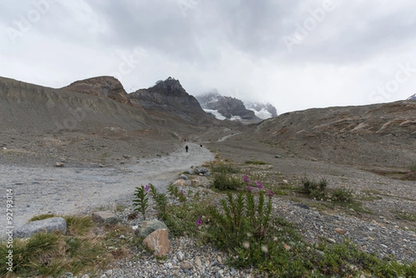 Obraz Trail to the Peaks