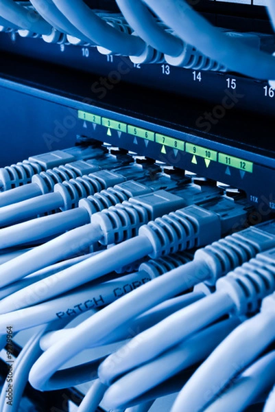 Obraz patch cords and network switch