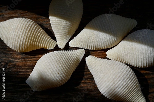 Fototapeta Italian raw conchiglioni on the background of a rustic tree 