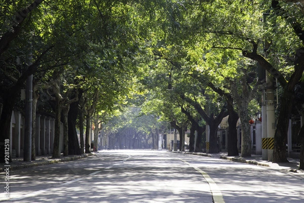 Fototapeta Empty street in sunlight