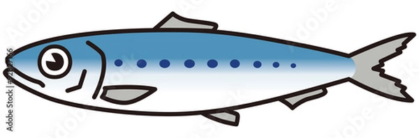 Fototapeta 真いわし