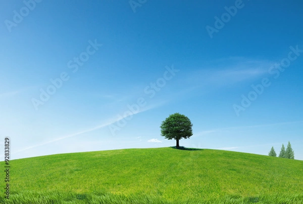 Obraz 나무와 언덕