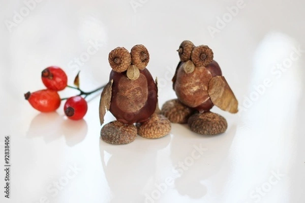 Obraz Eule aus Herbstfrüchten