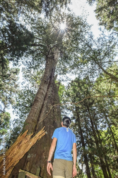 Fototapeta Beautiful But Abandoned Mianyue Line Railway With Tunnels And Thousand People Cave (Qianrendong) At The Hiking Trail To Water Forest (Shuiyang Forest), Alishan National Scenic Area, Chiayi,Taiwan