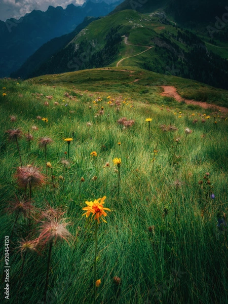 Fototapeta Vertical photo vertical photo of an alpine meadow full of colorful flowers