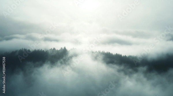 Fototapeta clouds or fog drifting through a forest or over a field in the early morning light, creating a mysterious and ethereal scener