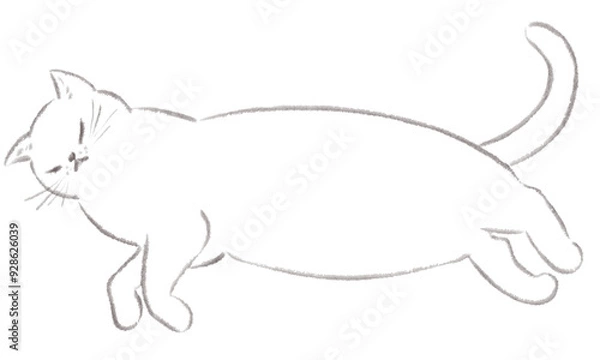 Fototapeta 和風な寝そべっている白猫　