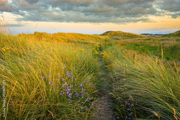 Fototapeta Northumberland Coast Path through Druridge Links, located on the North Sea coast in Northumberland's National Landscape, England, it is a 7 miles long bay between Amble and Cresswell