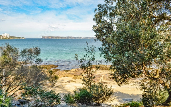 Obraz Manly beach Australia, Sydney, Manly walking path near beach, amazing view of seaside 
