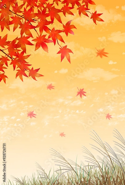 Fototapeta 紅葉　ススキ　秋の風景　水彩画　素材　散る　舞う　紅葉狩り　落ち葉　行楽　田舎　ハイキング　登山　秋祭り　文化祭　お彼岸　観光　キャンペーン　夕日　夕陽　シンプル　表紙　ポストカード　ポスター　縦長